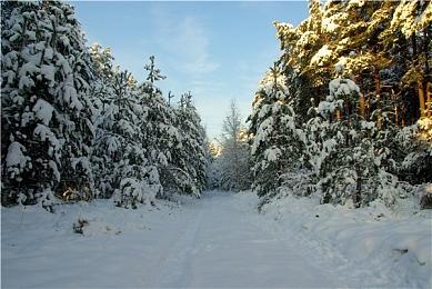 未来的《刺客信条》并不都是150小时的RPG