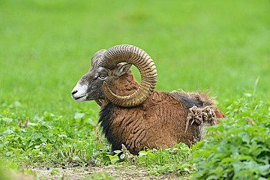 60岁的基努·里维斯已悄然结婚 和对方交往5年